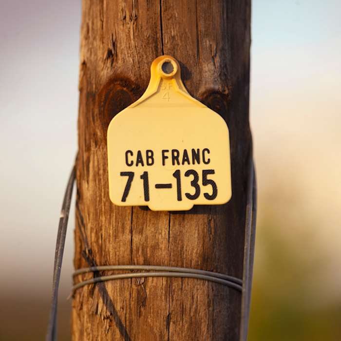 ISL04047 - ARTICLE - NEXT TO THE THREE OTHER ONES THAT ARE SIMILAR.jpg